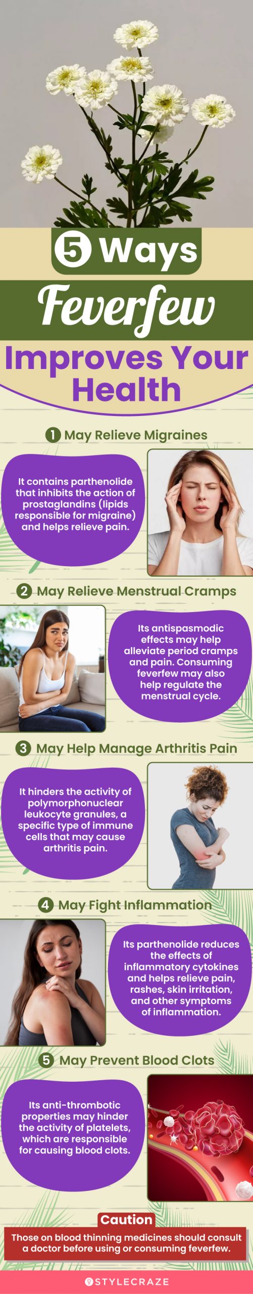 5 ways feverfew improves your health (infographic)