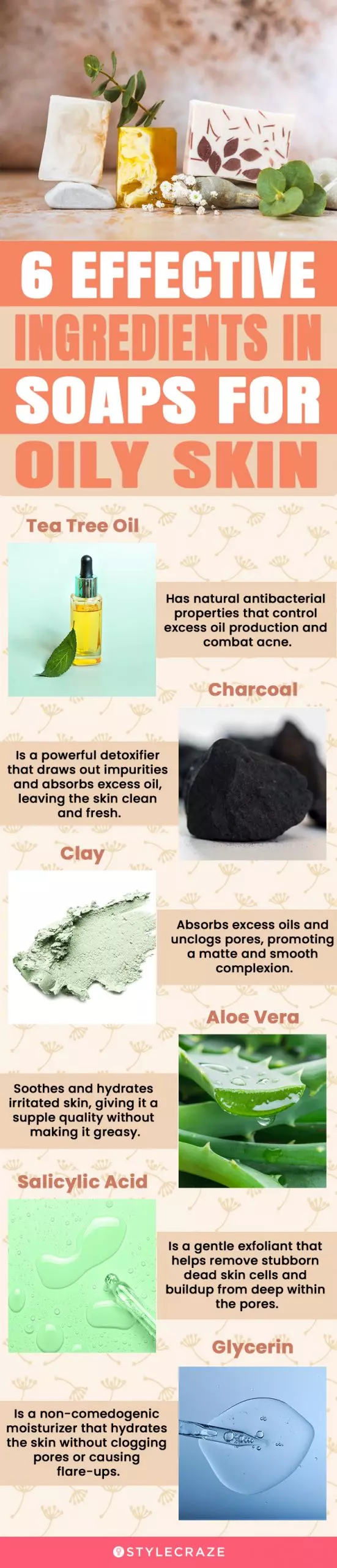 6 Effective Ingredients In Soaps For Oily Skin (infographic)