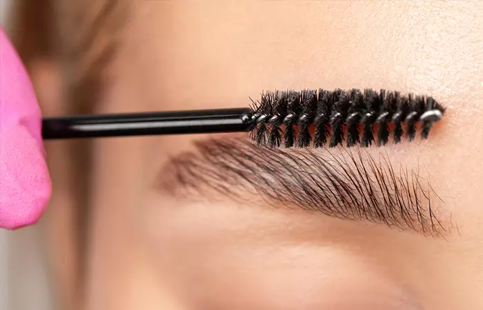 Brush Your Eyebrows Downwards