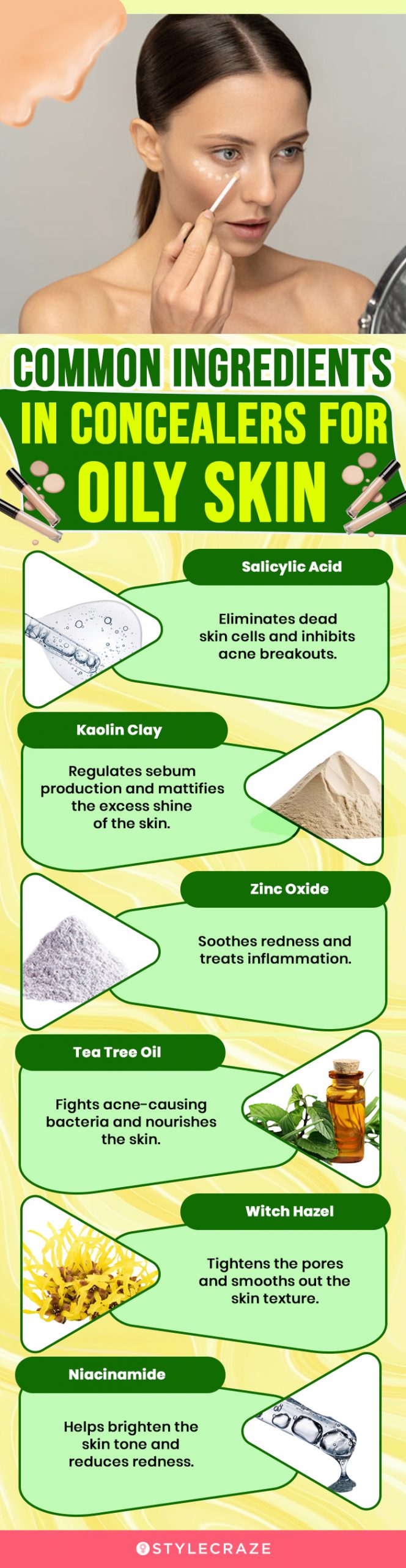 Common Ingredients In Concealers For Oily Skin (infographic)