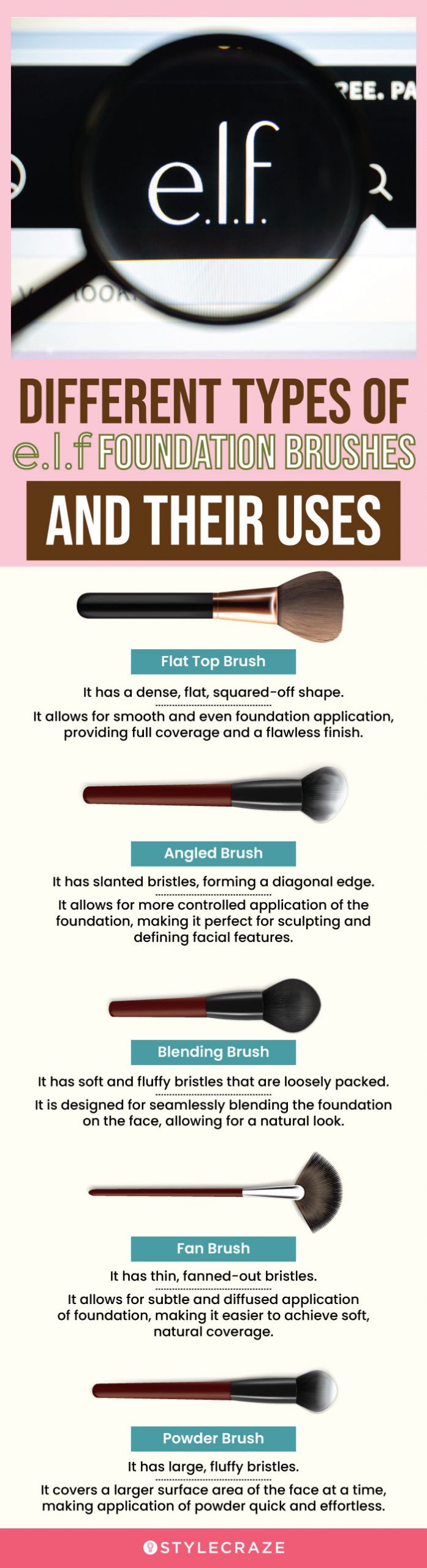 Different Types Of e.l.f Foundation Brushes (infographic)