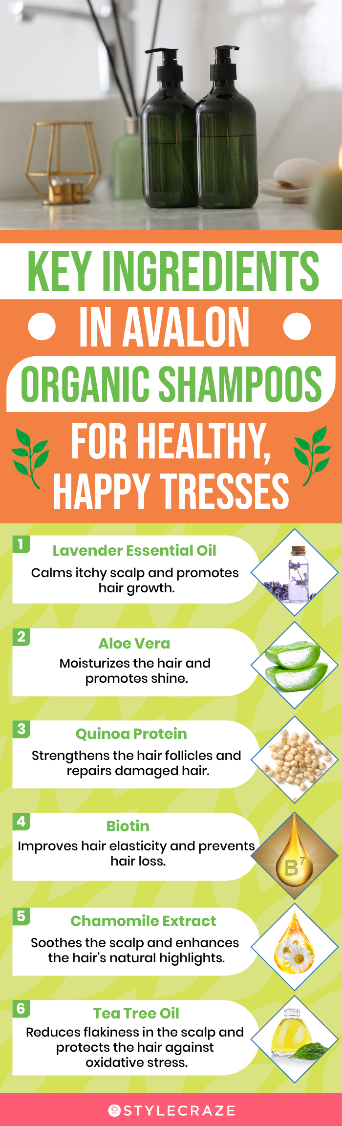 Key Ingredients In Avalon Organic Shampoos For Healthy, Happy Tresses (infographic)