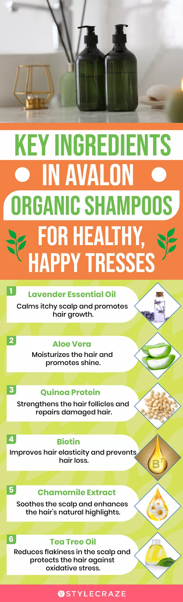 Key Ingredients In Avalon Organic Shampoos For Healthy, Happy Tresses (infographic)