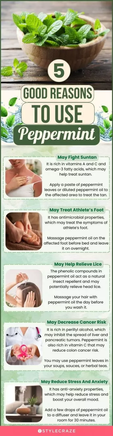 5 good reasons to use peppermint (infographic)