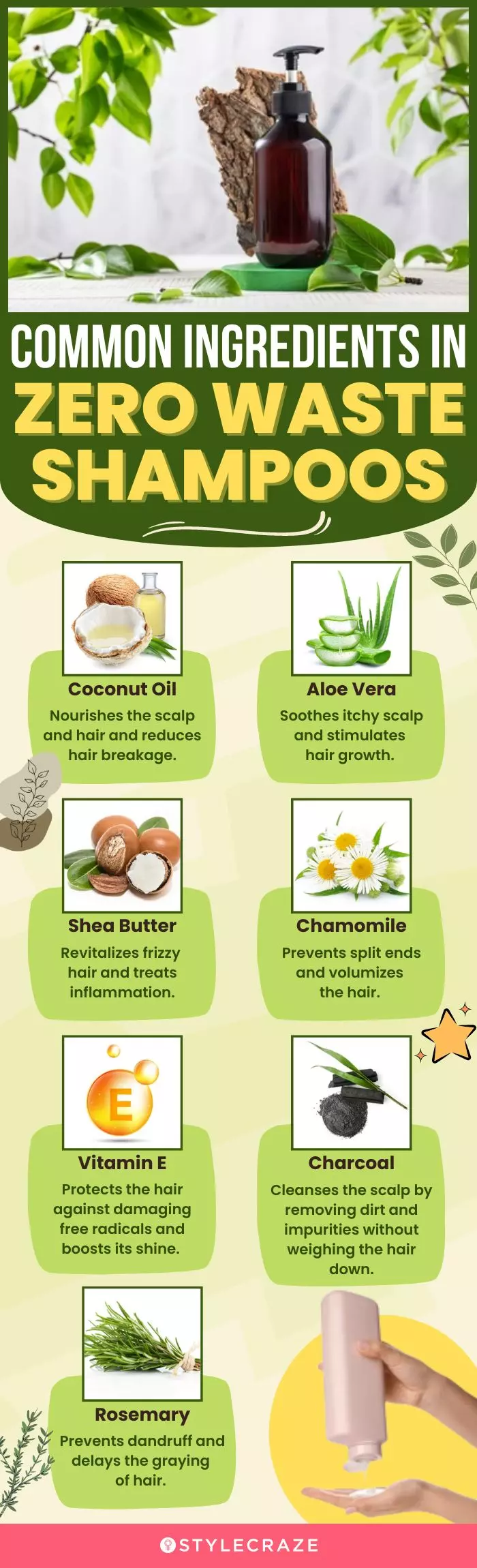 Common Ingredients In Zero Waste Shampoos (infographic)