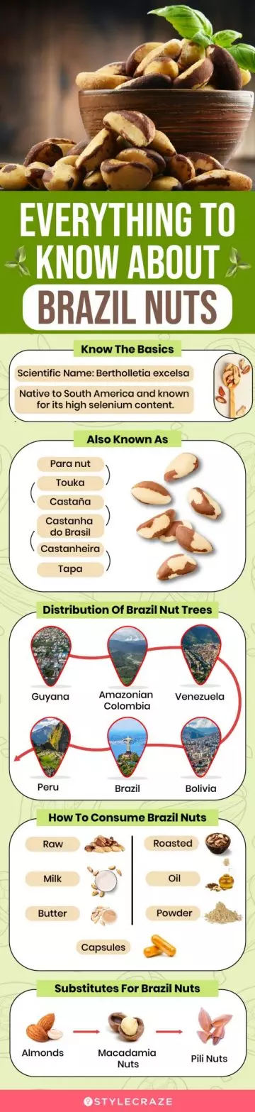 everything to know about brazil nuts (infographic)