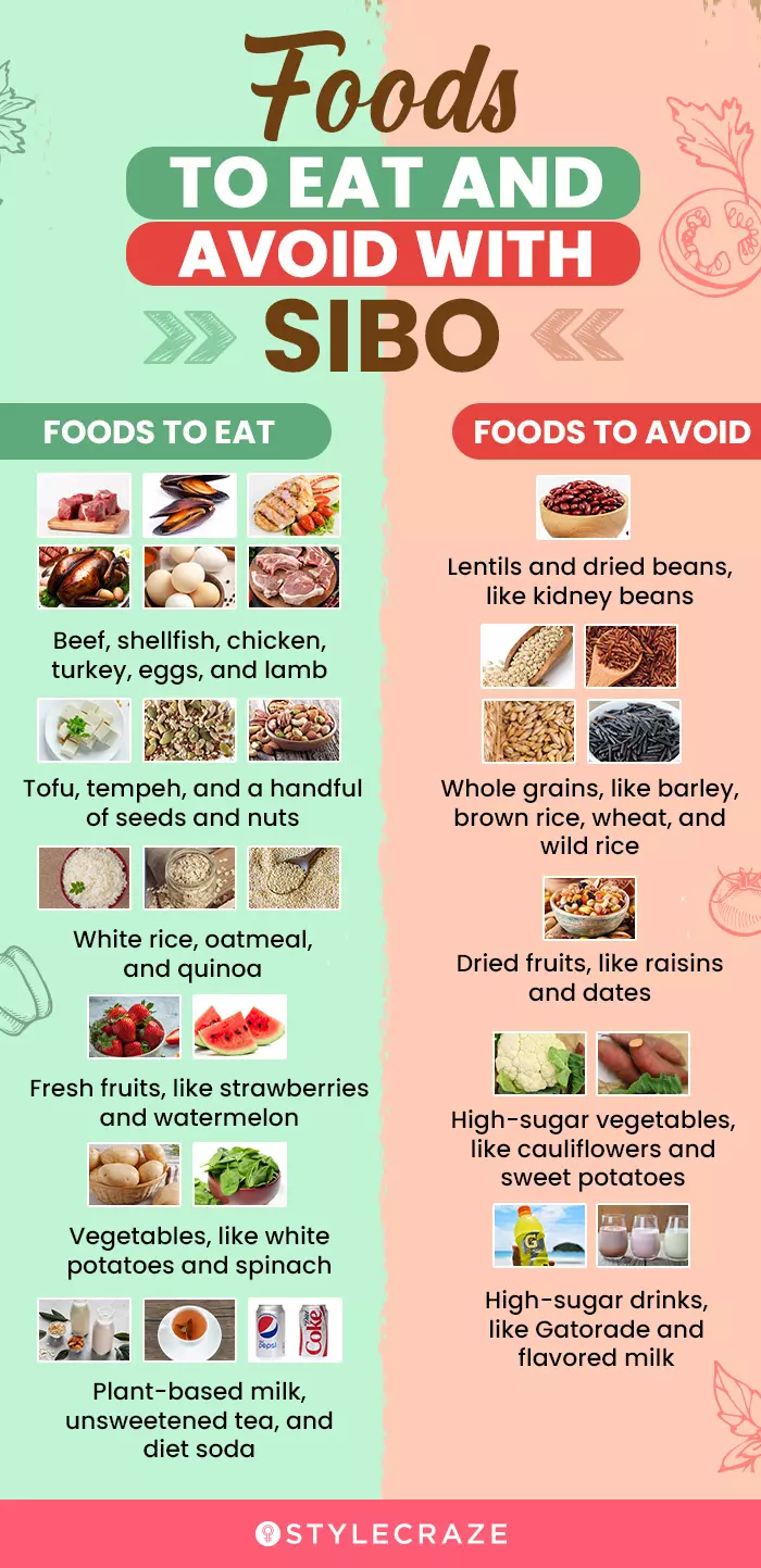 foods to eat and avoid with sibo (infographic)