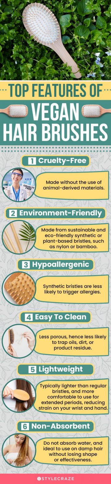 Top Features Of Vegan Hair Brushes (infographic)