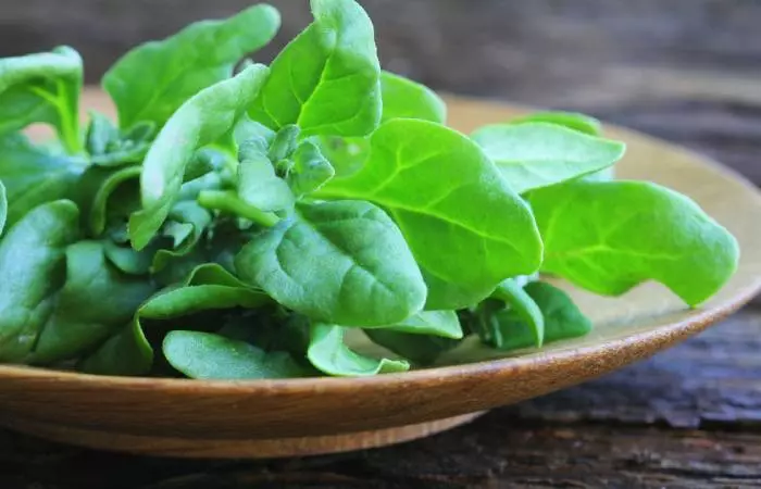Avoid spinach on a low-oxalate diet