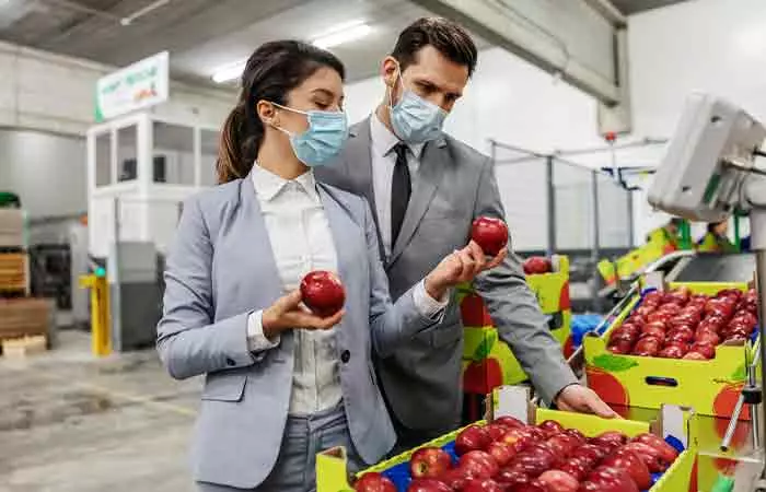 People inspecting apples for bugs