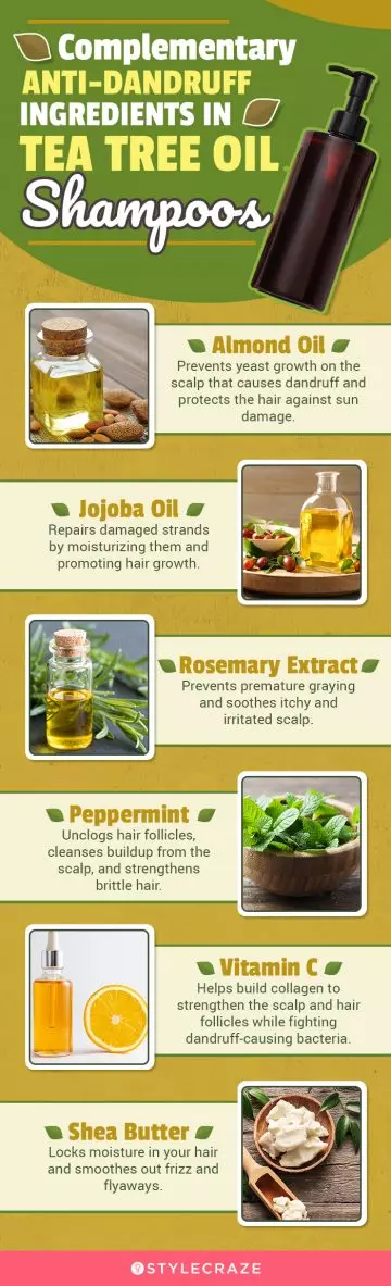 Complementary Anti-Dandruff Ingredients In Tea Tree Oil Shampoos (infographic)