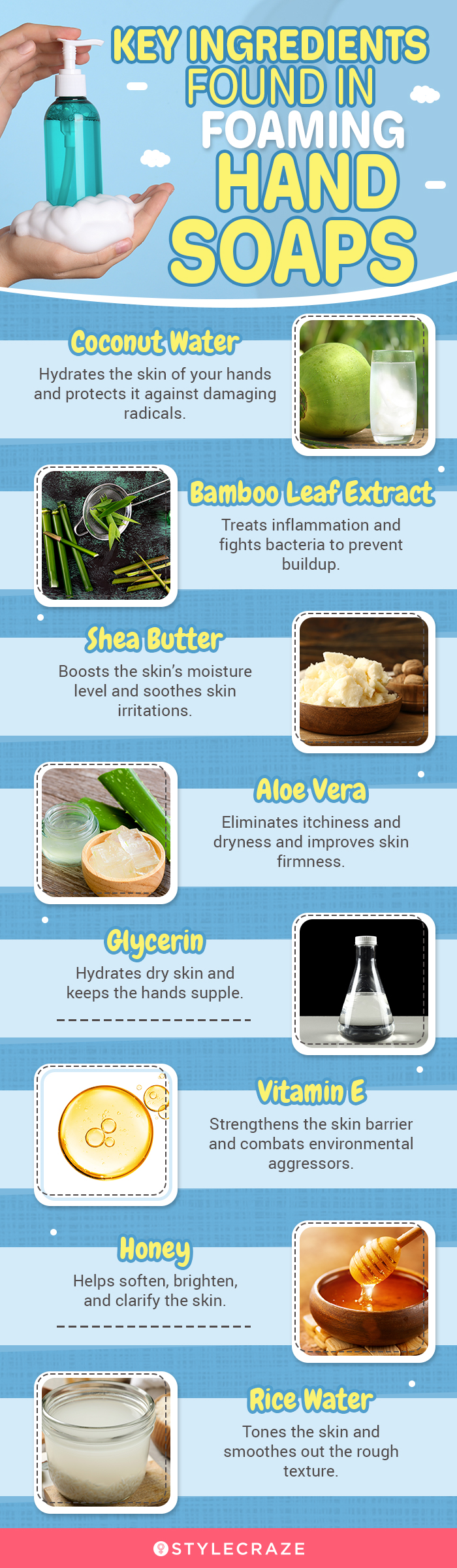 Key Ingredients Found In Foaming Hand Soaps (infographic)