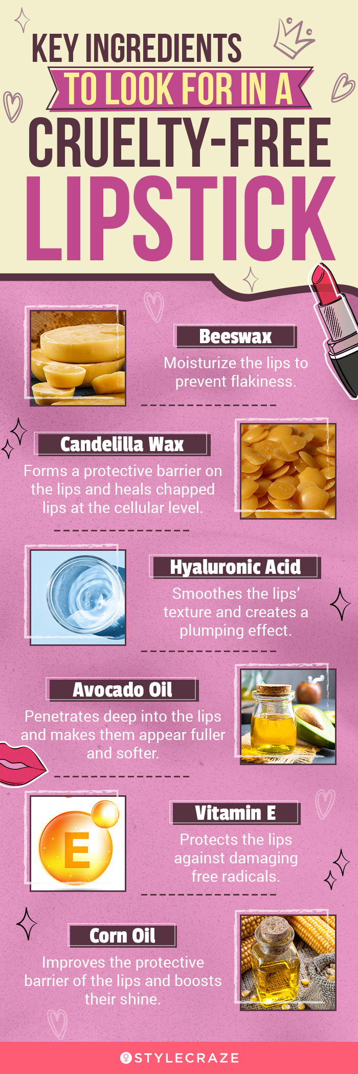 Key Ingredients To Look For In A Cruelty-Free Lipstick (infographic)
