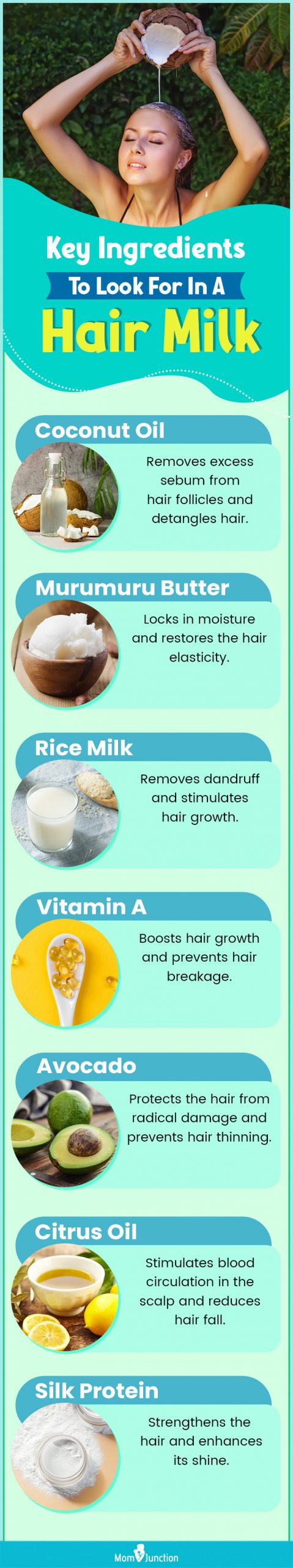 Key Ingredients To Look For In A Hair Milk (infographic)