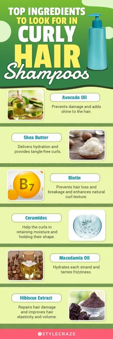 Top Ingredients To Look For In Curly Hair Shampoos (infographic)