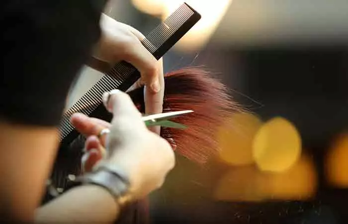 Go-For-Regular-Trims