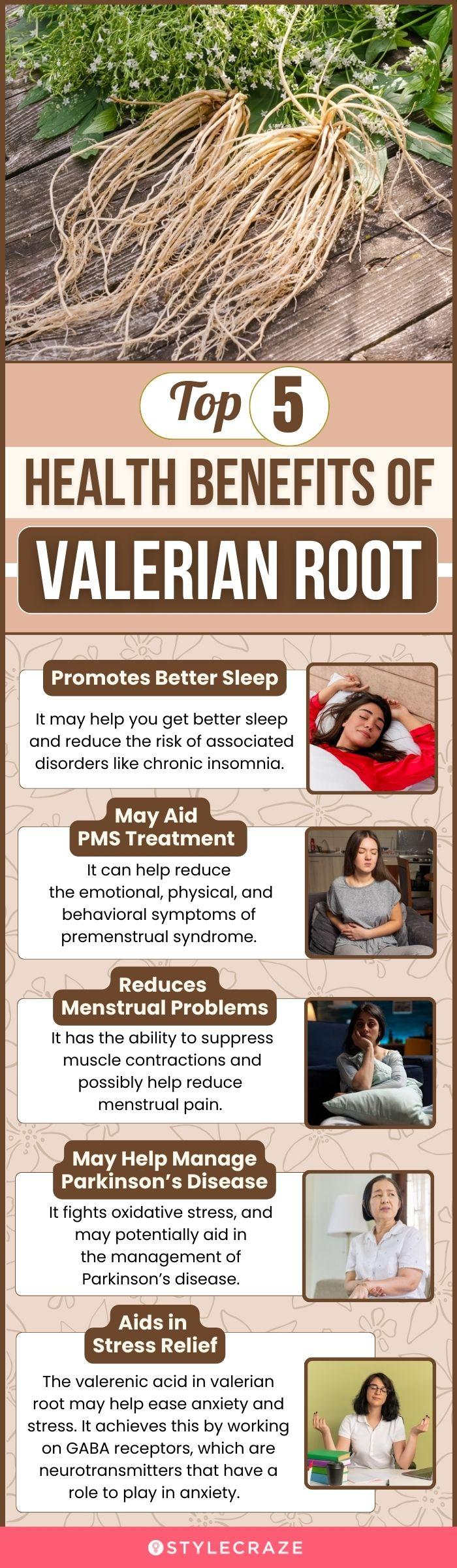 5 Benefits Of Valerian Root, How It Works, And Side Effects