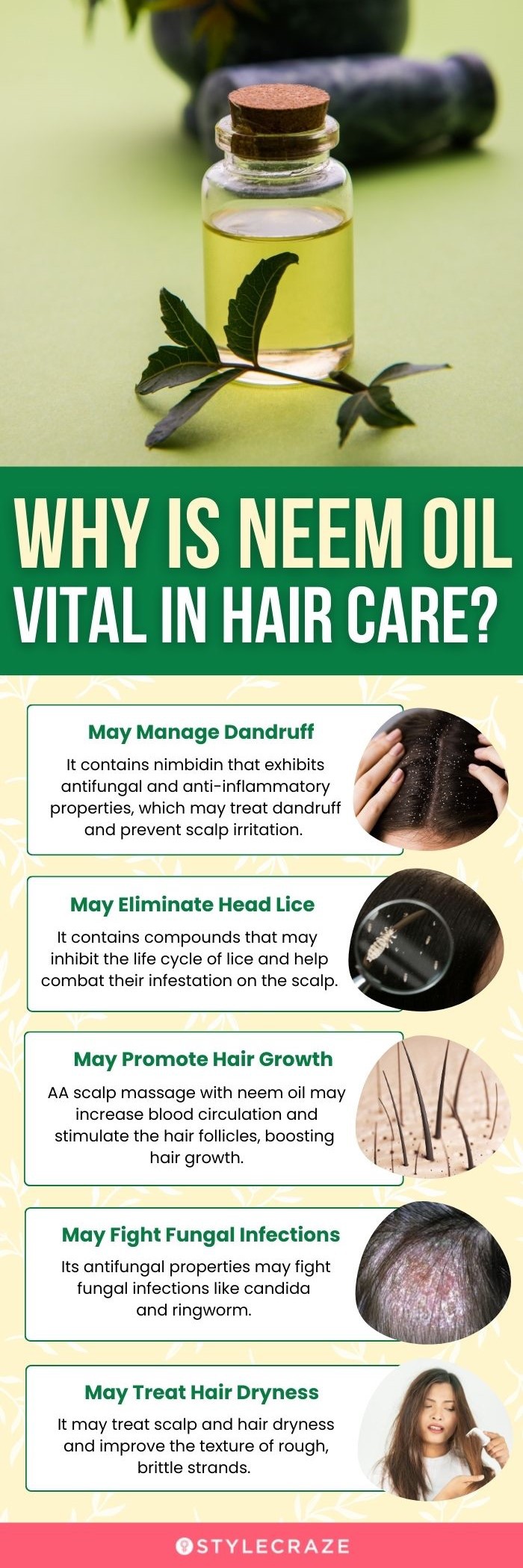 why is neem oil vital in hair care (infographic)