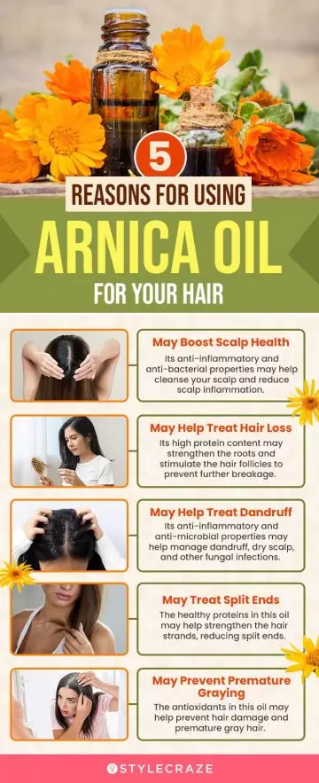 5 reasons for using arnica oil for your hair (infographic)