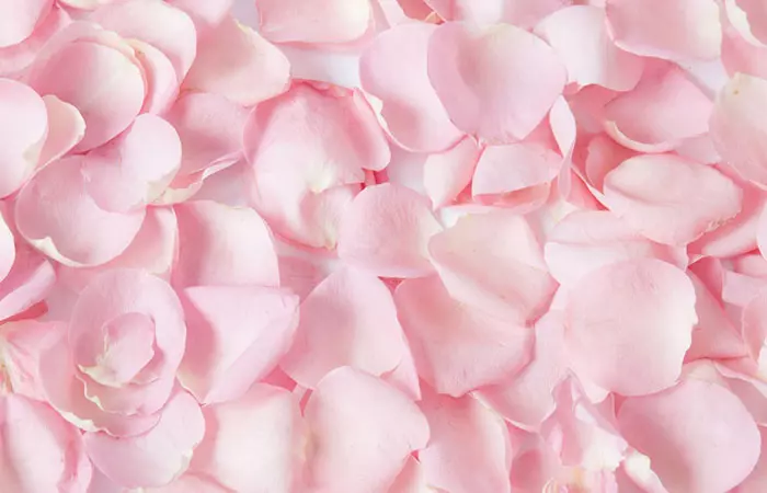 How Is Rose Petal Good For Your Skin