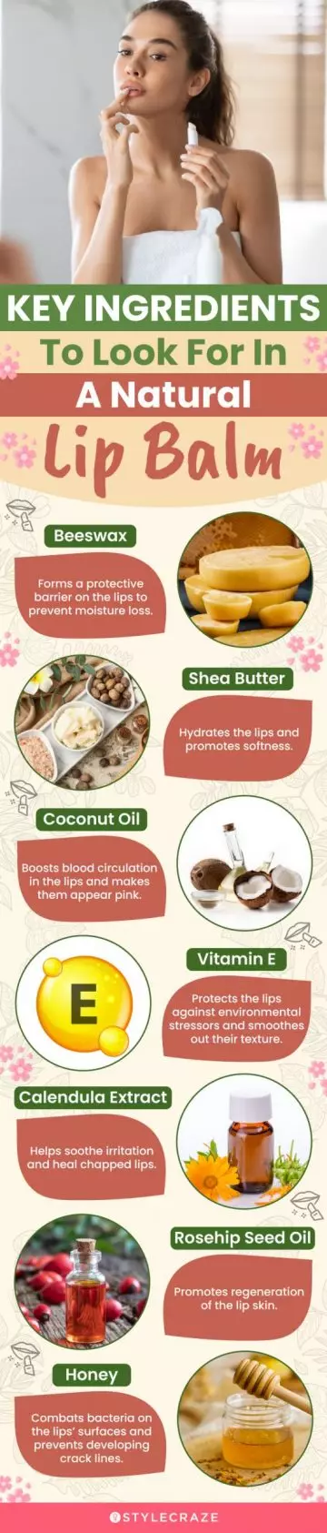 Key Ingredients To Look For In A Natural Lip Balm (infographic)