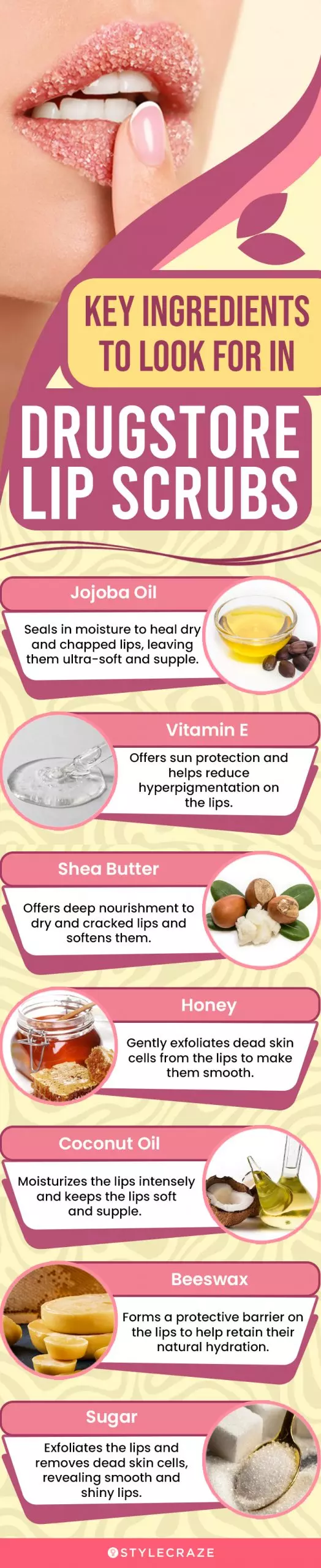 Key Ingredients To Look For In Drugstore Lip Scrub (infographic)