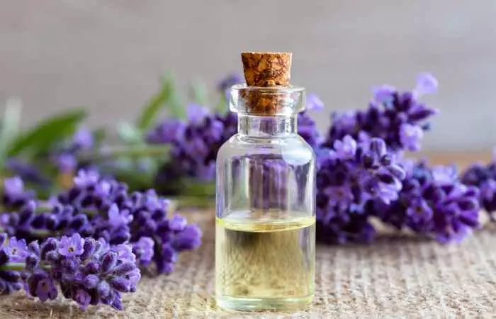 Lavender Oil