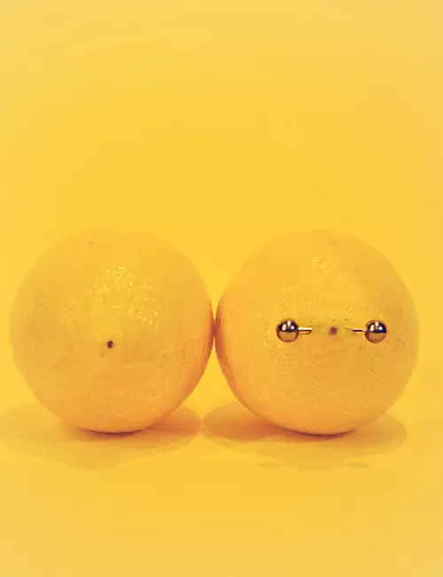 Nipple piercings on lemons