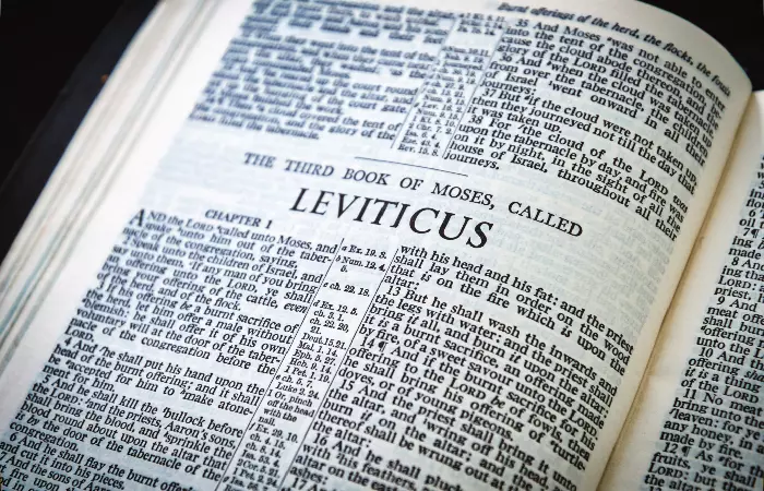 The Book of Leviticus talks about body modification