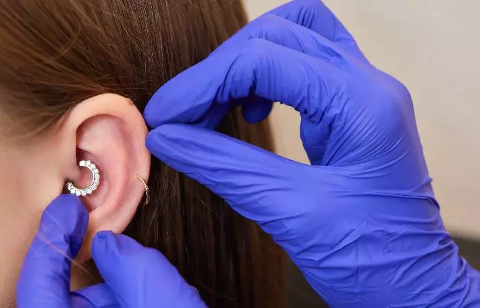A piercer checking piercings on the ear