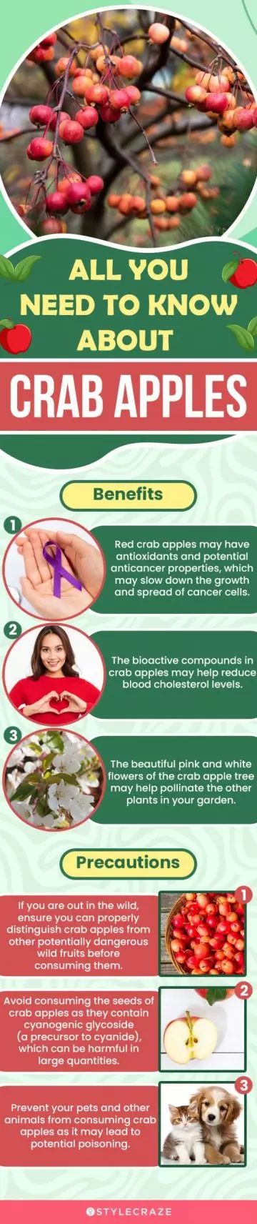all you need to know about crab apples (infographic)