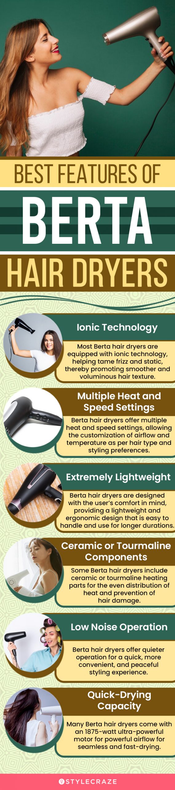 Best Features Of Berta Hair Dryers (infographic)