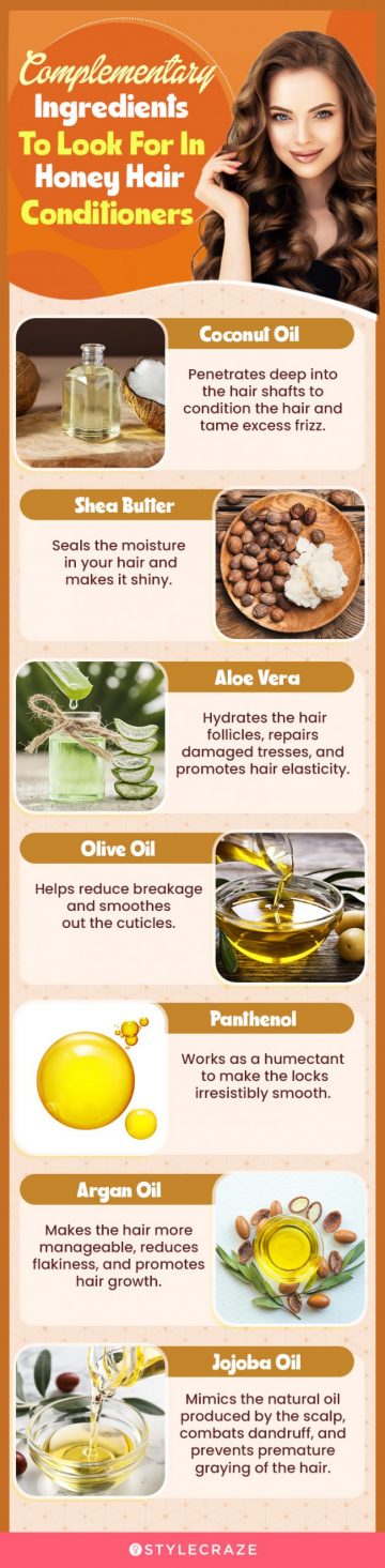 Complementary Ingredients To Look For In Honey Hair Conditioners (infographic)