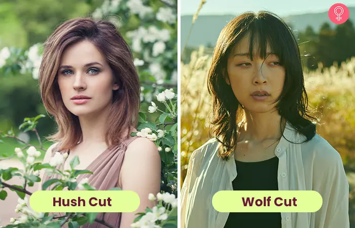 Difference between hush cut and wolf cut