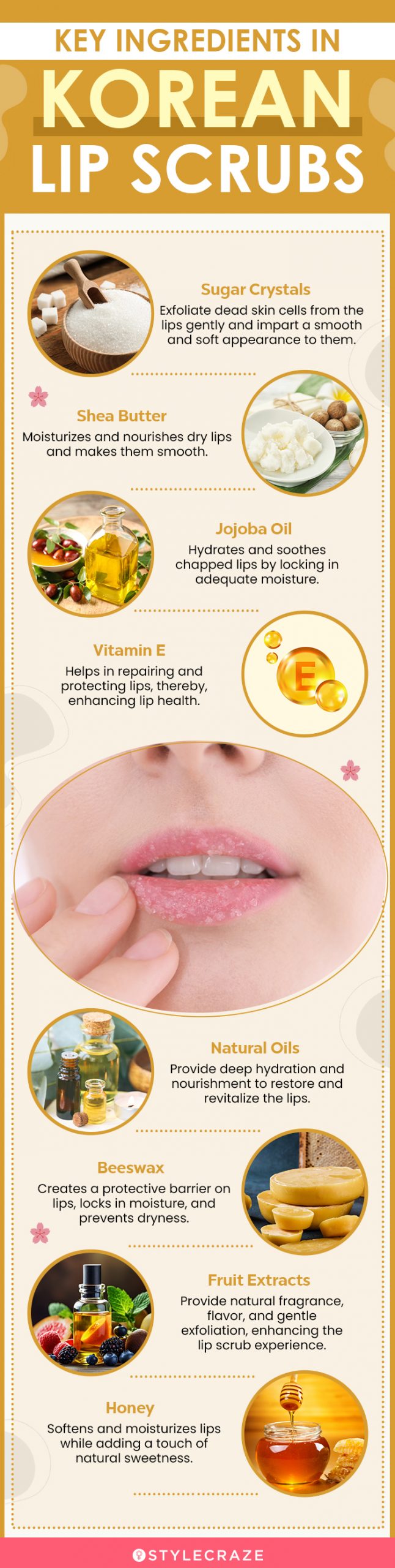  Key Ingredients In Korean Lip Scrubs (infographic)