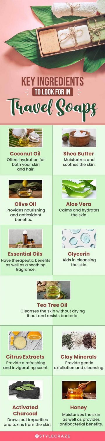 Key Ingredients To Look for In Travel Soaps (infographic)