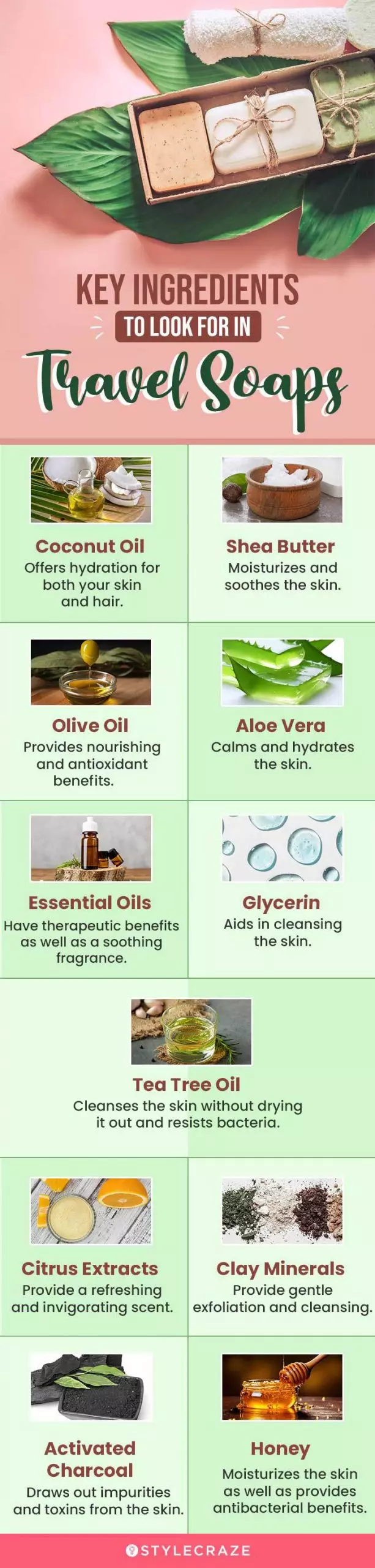 Key Ingredients To Look for In Travel Soaps (infographic)