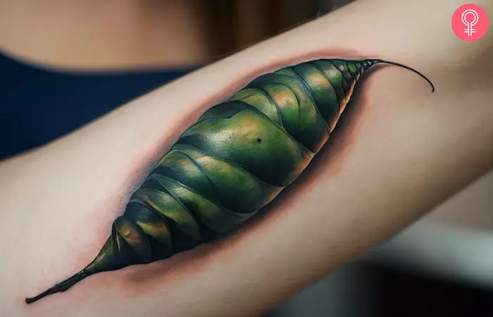 A caterpillar cocoon tattoo on a woman’s arm