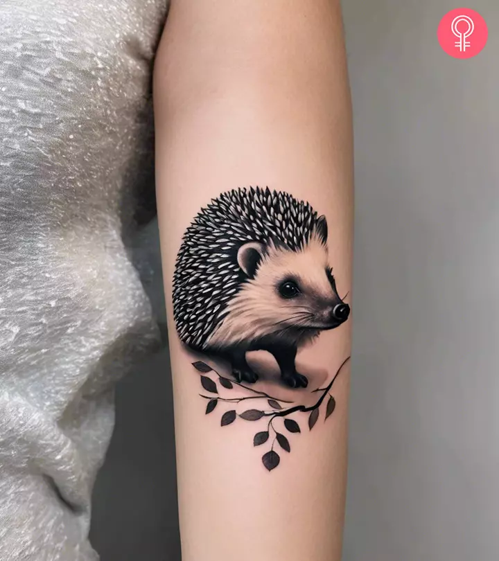 A realistic hedgehog tattoo on a woman’s upper arm