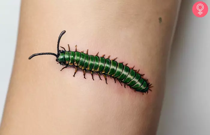 A traditional caterpillar tattoo