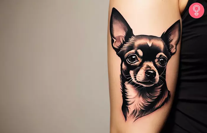 A woman with a Chihuahua portrait tattoo design