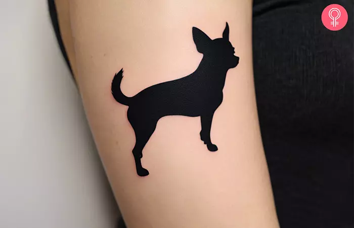 A woman with a black Chihuahua silhouette tattoo