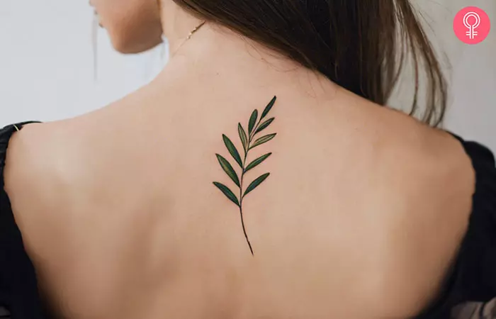 A woman with an olive leaf tattoo on her back