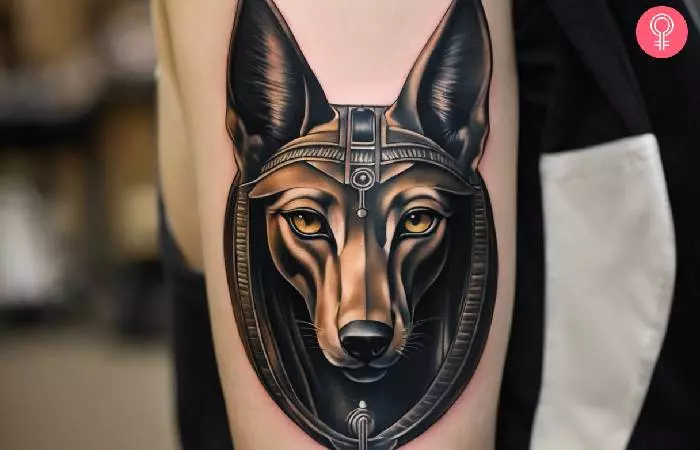 An Egyptian Anubis tattoo on the arm