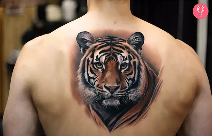 Realistic tiger tattoo on the back of a man