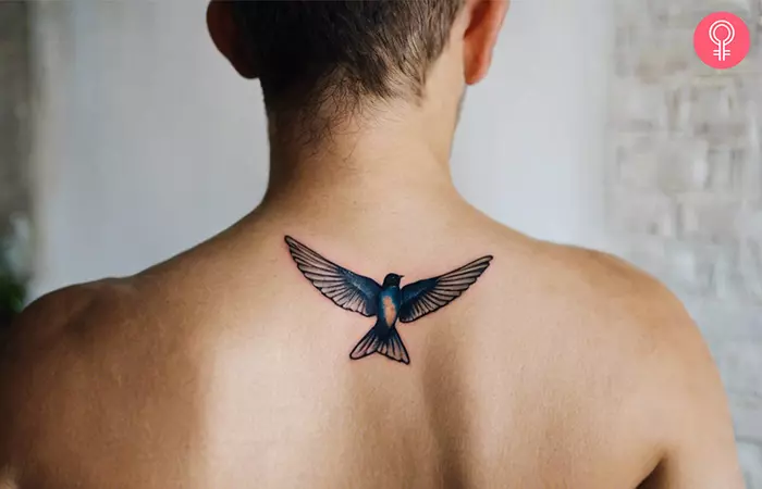 Barn swallow tattoo on the upper back