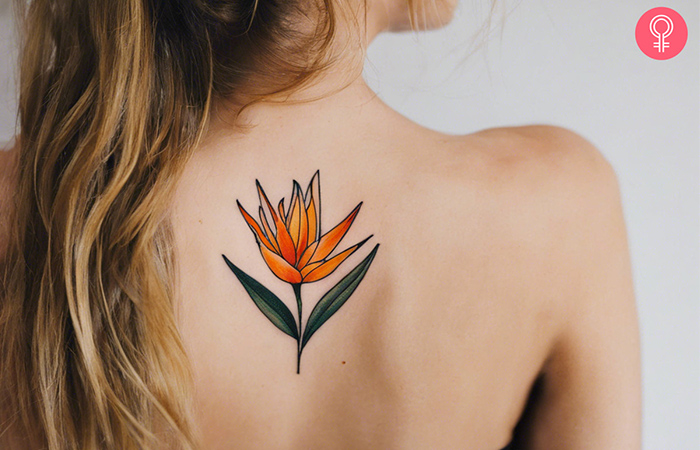 Bird Of Paradise Tattoo on a woman’s back