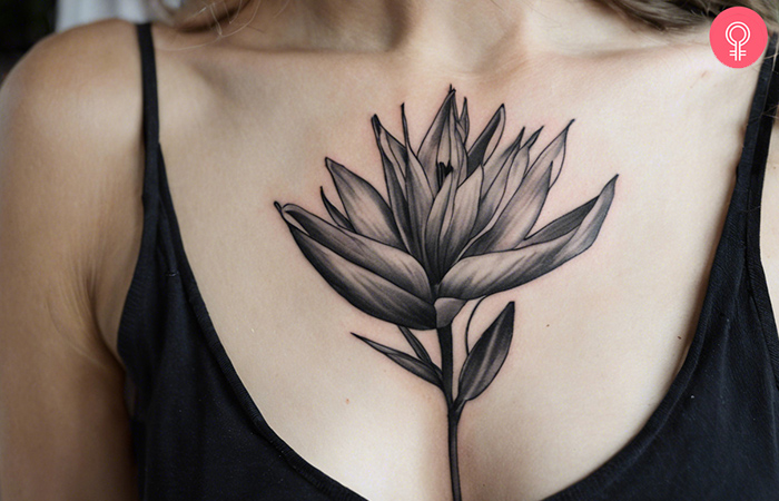Bird Of Paradise Tattoo on a woman’s chest