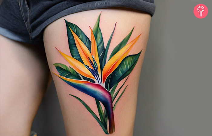 Bird Of Paradise Tattoo on a woman’s thigh