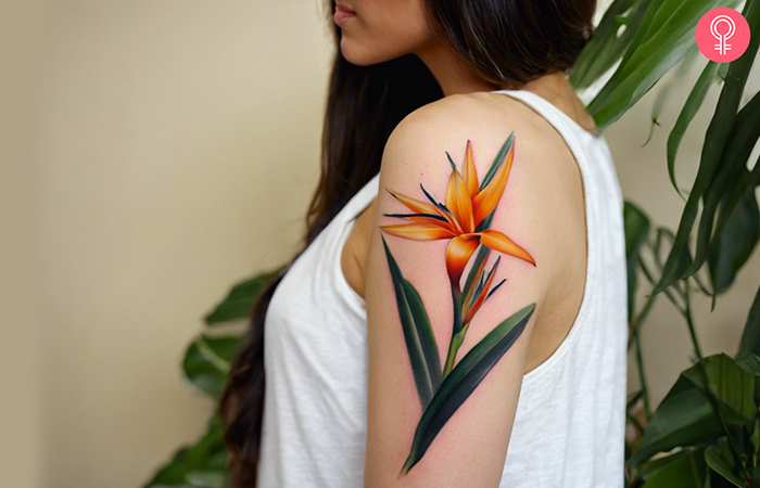 Bird Of Paradise Tattoo on a woman’s arm